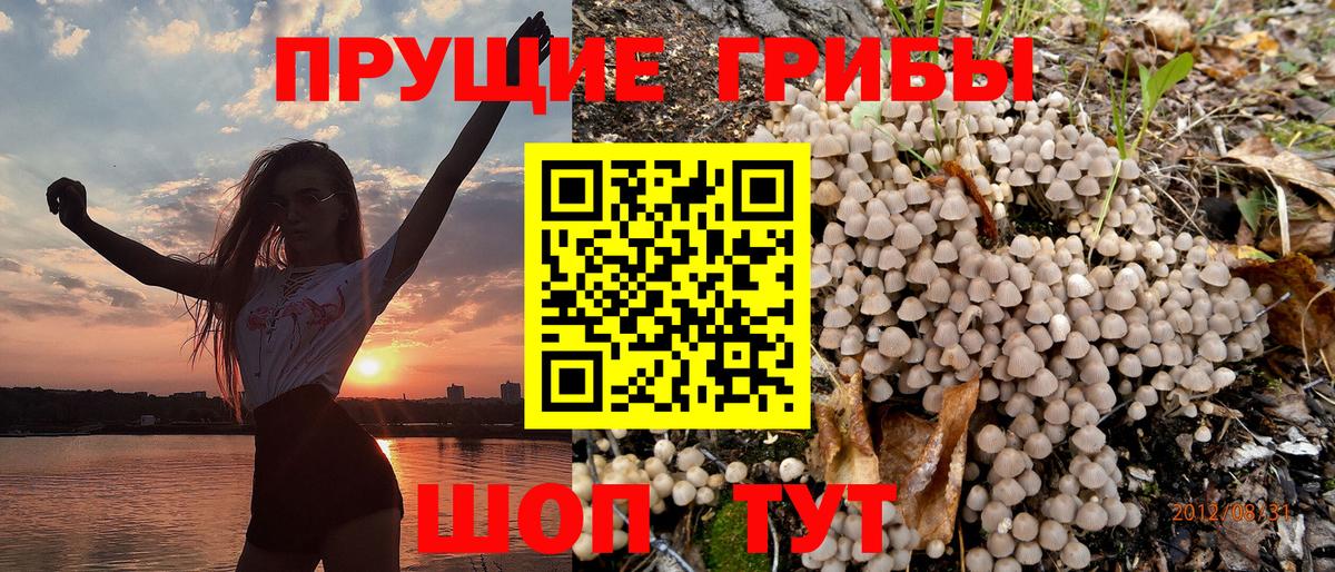Псилоцибиновые грибы MAGIC MUSHROOMS Заволжье