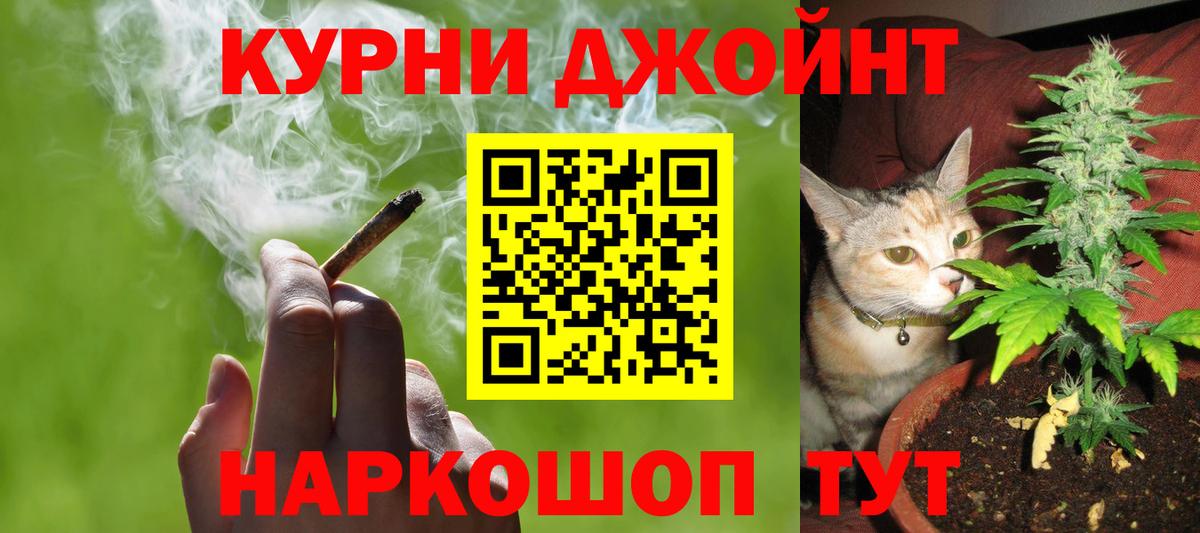 Шишки марихуана AK-47  Шишки марихуана план  МАРИХУАНА SATIVA & INDICA  Вход с VPN  Заволжье 